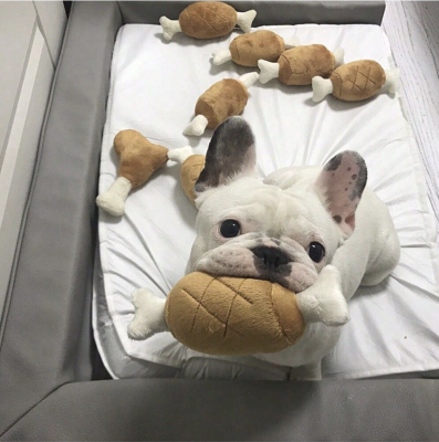 Đồ chơi cho thú cưng: Bí quyết giữ cho pet yêu luôn vui vẻ